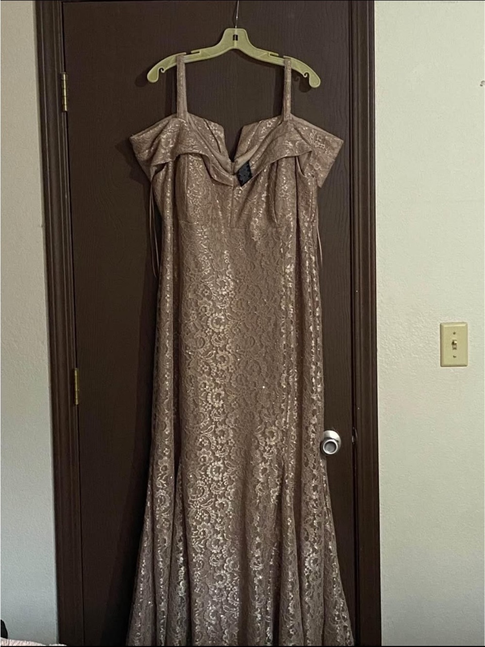 R&M Richards Shimmery Taupe Lace Off-Shoulder Maxi Gown